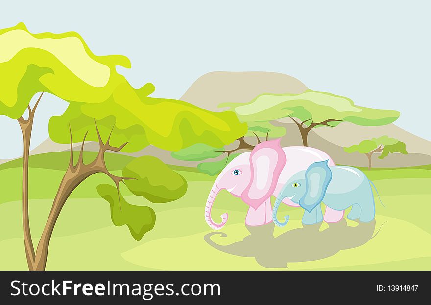 Elephants in the wild nature