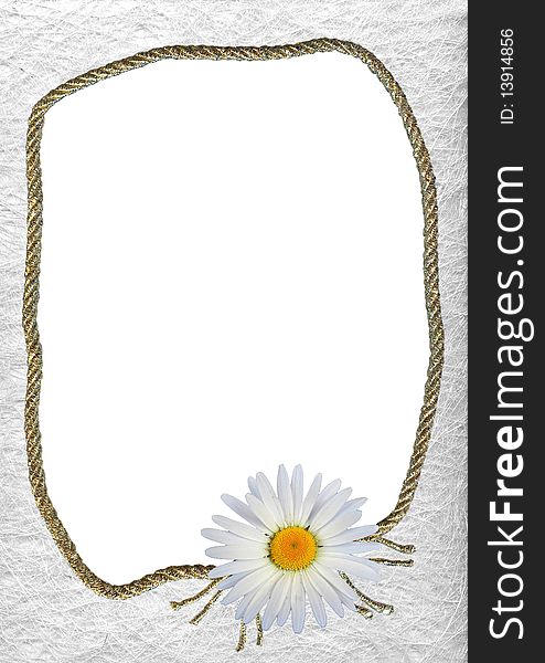 Decorative frame with white daisy - background for your text or picture. Decorative frame with white daisy - background for your text or picture