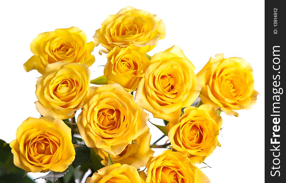 Beautiful bouquet of yellow roses isolated on white background. Beautiful bouquet of yellow roses isolated on white background