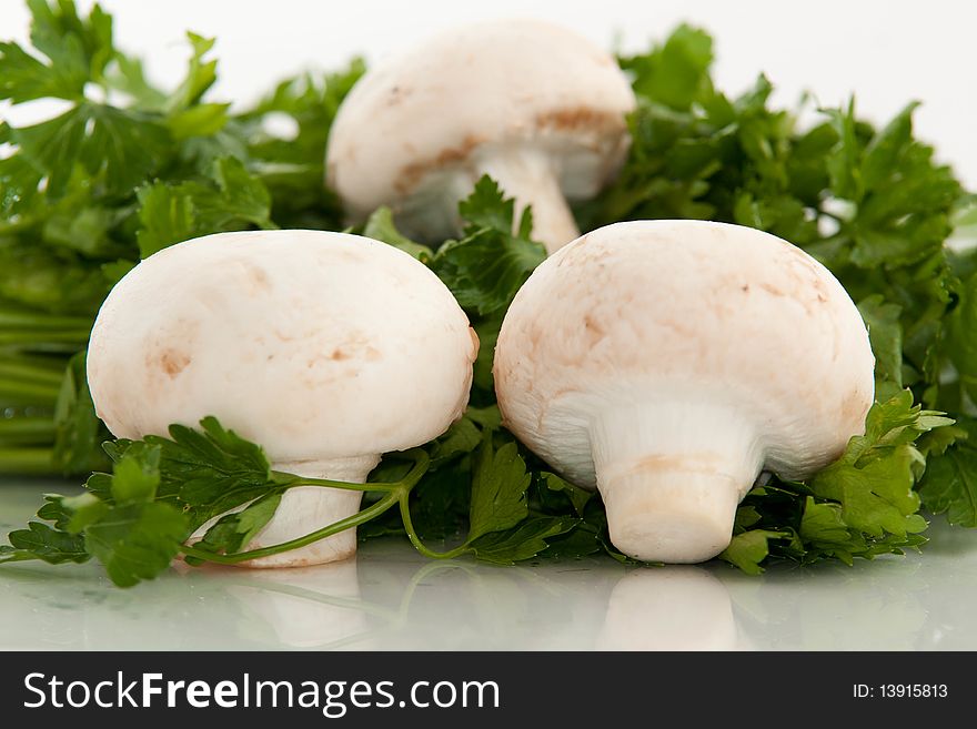 A three mushrooms on green