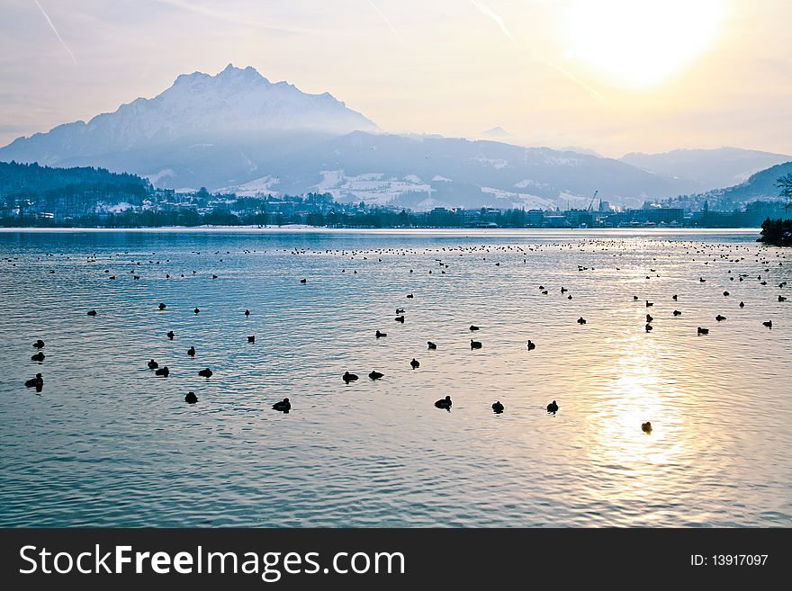 Evening on the swiss lake Luzern. Evening on the swiss lake Luzern