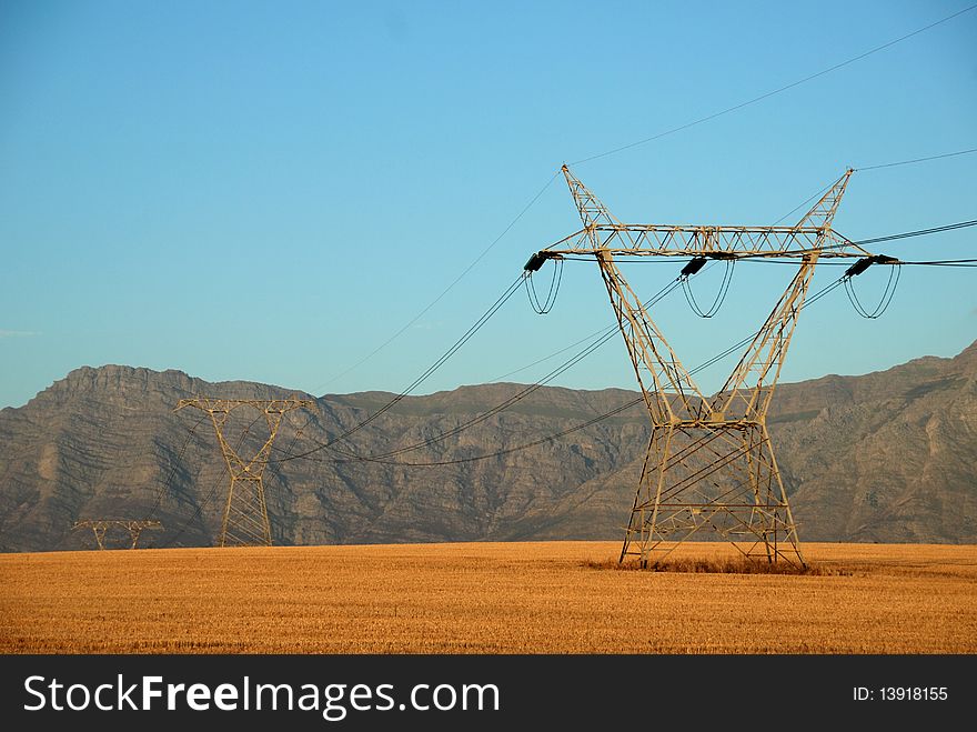 Power Lines In A Field