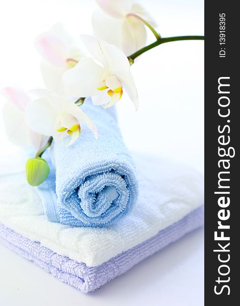 The small towels in roll with orchid around. The small towels in roll with orchid around