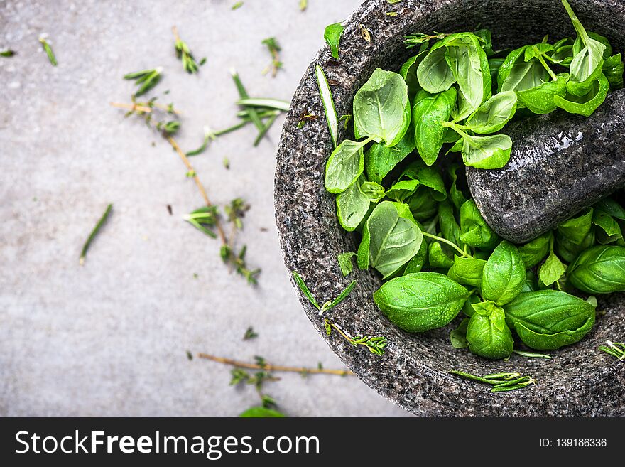 Fresh Organic Basil In Concrete Pestle Or Mortar