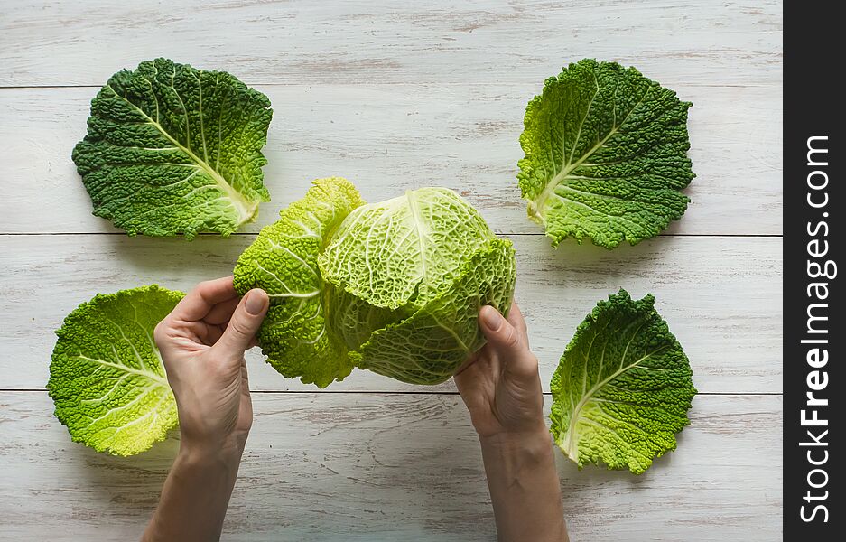 Organic vegetables. Farmers hands with freshly harvested cabbage. Fresh Savoy cabbage.
