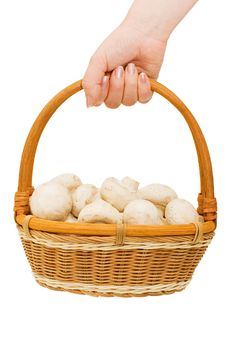 Basket With Field Mushrooms In A Hand Stock Images Basket With Field Mushrooms In A Hand Stock Images
