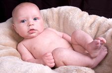 3 Month Old Baby Stock Photos