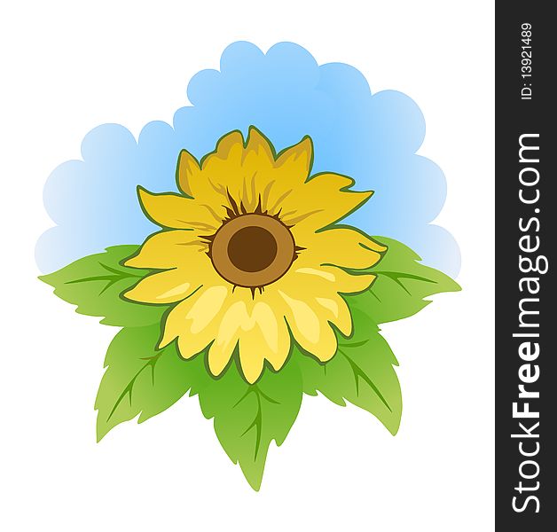 Yellow sunflower with green leaves