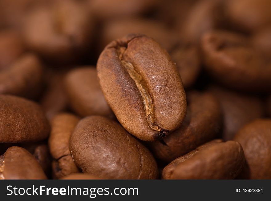 Close up macro shot of coffee bean. Selective focus on single bean.