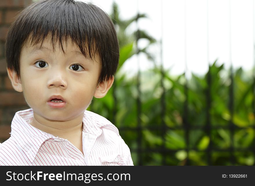 An Asian boy at a park looking surprised. An Asian boy at a park looking surprised