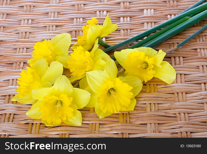 Bouquet of yellow narcissuses on a wattled table from a rod