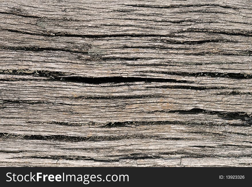 Old Cracked Wood Texture