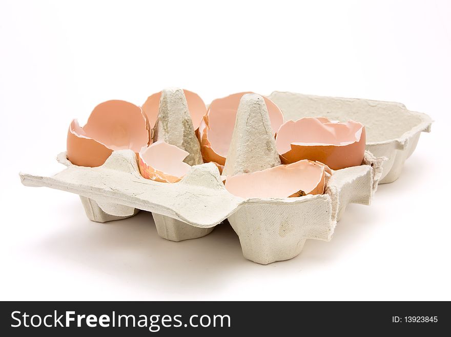 Egg Shells