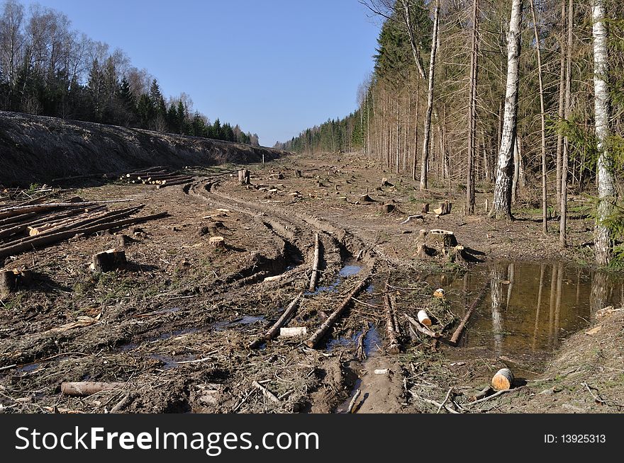 Deforested area with log's piles and dirt road