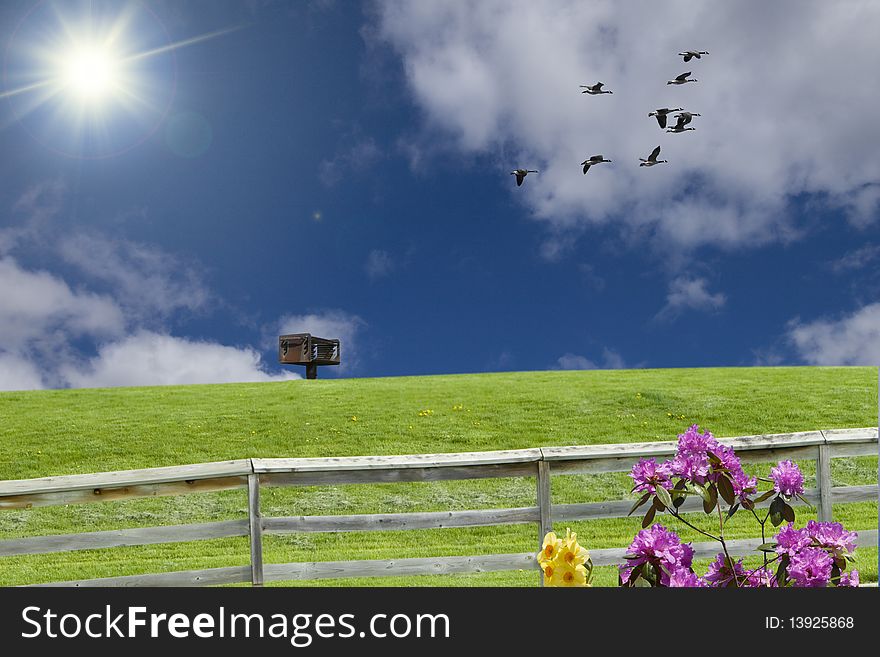 Scenic landscape with birds, barbecue, fence, hill, sun, clouds and flowers. Scenic landscape with birds, barbecue, fence, hill, sun, clouds and flowers.