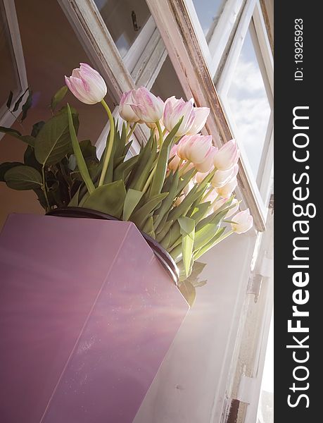 Pink tulips in vase on windowsill. Pink tulips in vase on windowsill