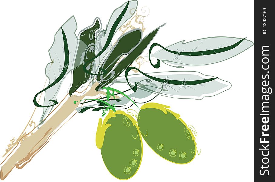 Illustration of a pair of Olives on a branch