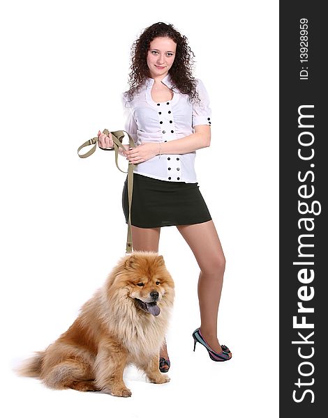 A pretty young woman with chow chow dog. A pretty young woman with chow chow dog