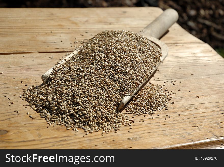 Baker raw material, pan with seeds