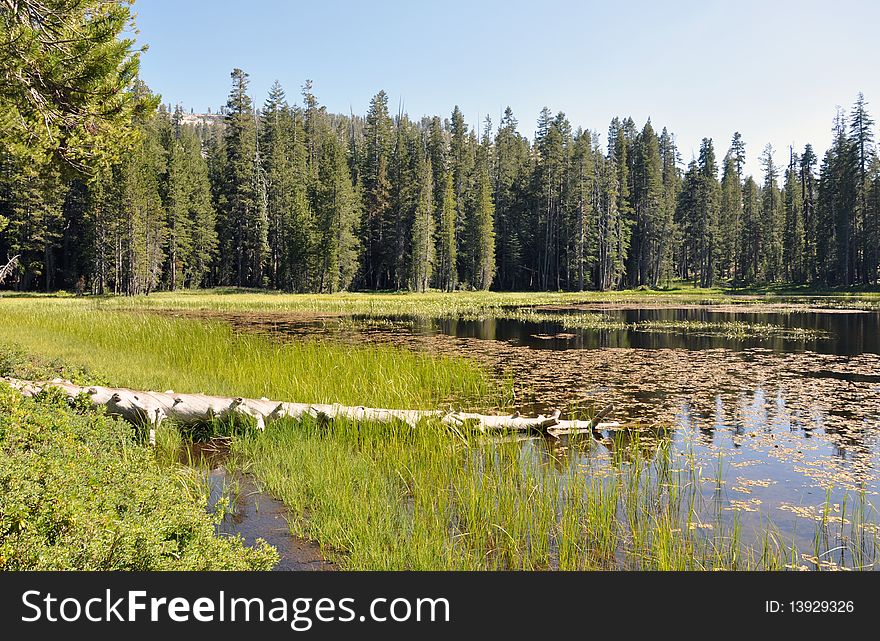 Small pond at Yosemite National Park eastern entrance, California, USA