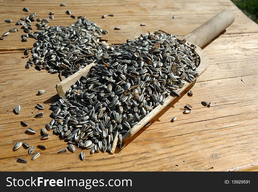 Sunflower seeds