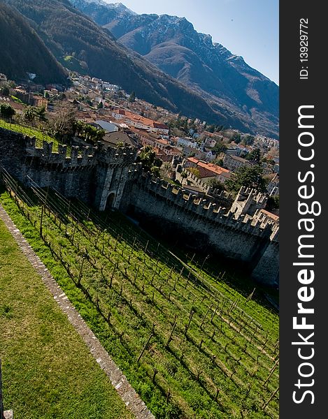 Old vineyards in Belinzona, Ticino