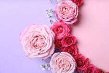 Flat Lay Composition With Flowers And Space For Text Royalty Free Stock Photo