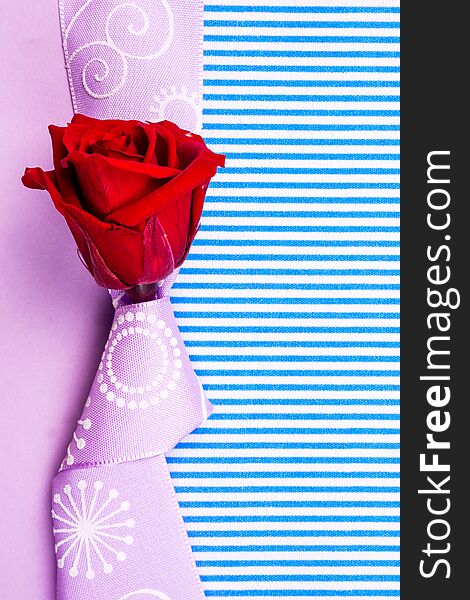 Valentines or congratulation gift card on violet background with violet ribbon band and one red rose in the middle