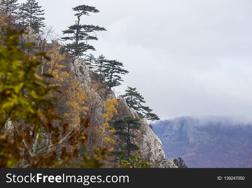 Misty autumn scenery in a remote area in the mountains in Romania. Misty autumn scenery in a remote area in the mountains in Romania