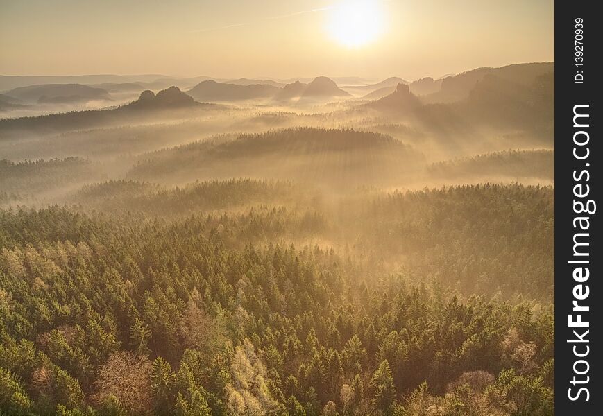 Foggy Autumnal Morning In Mountain Landscape