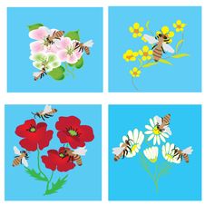 Set Of Cards With Bees And Flowers Stock Photos Set Of Cards With Bees And Flowers Stock Photos