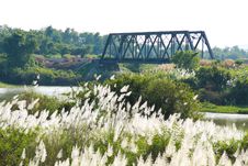 Vista Flowers Grass And Bridge Railway Royalty Free Stock Photo Vista Flowers Grass And Bridge Railway Royalty Free Stock Photo