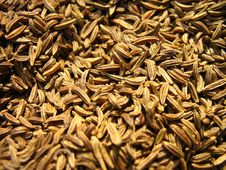 Indian Spice - Cumin Seeds Stock Photos Indian Spice - Cumin Seeds Stock Photos