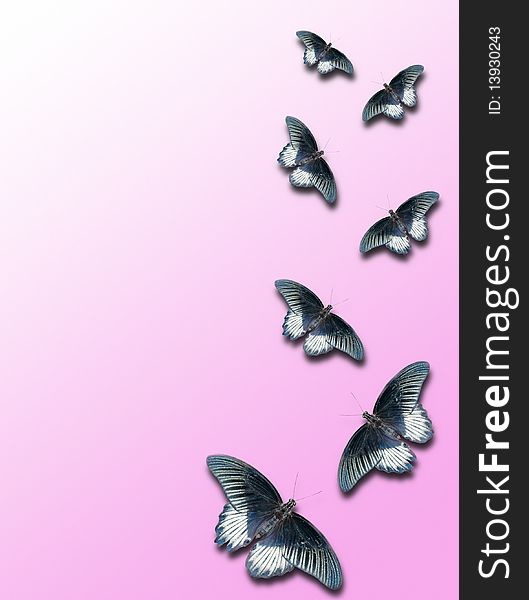 This pattern with butterflies on pink background. This pattern with butterflies on pink background