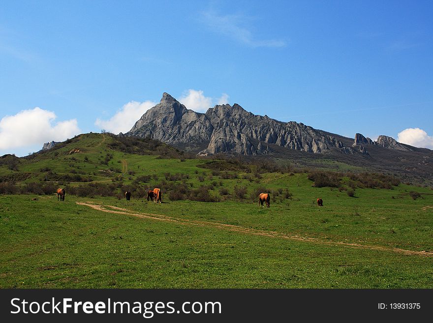 Horses graze at the foot of the mountain. In the distance rises a rocky mountain. Horses graze at the foot of the mountain. In the distance rises a rocky mountain