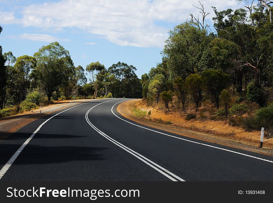 Road passing through the bush