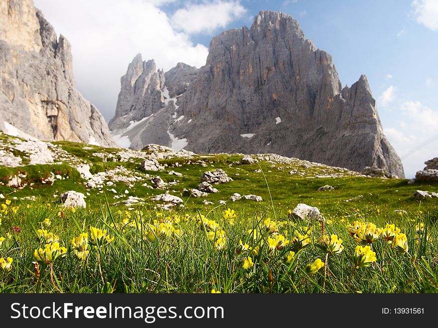 View of cima della madonna in pale di san martino - dolomiti italy