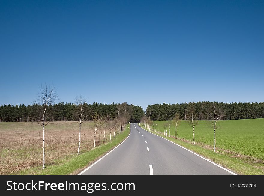 Country road in East Germany, State Brandenburg, not far from the polish border. Beautyfull landscape with birches, woods and meadows.