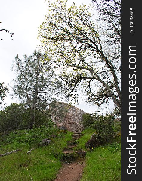 Mt Diablo Trail