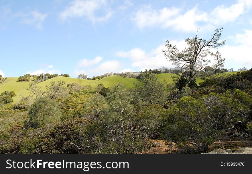 Hillside Views