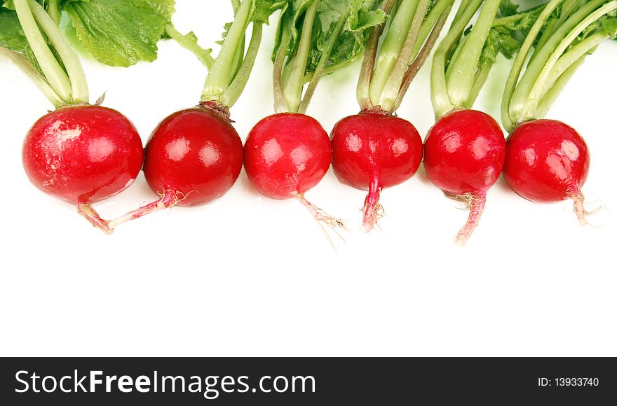 Fresh radishes on white background