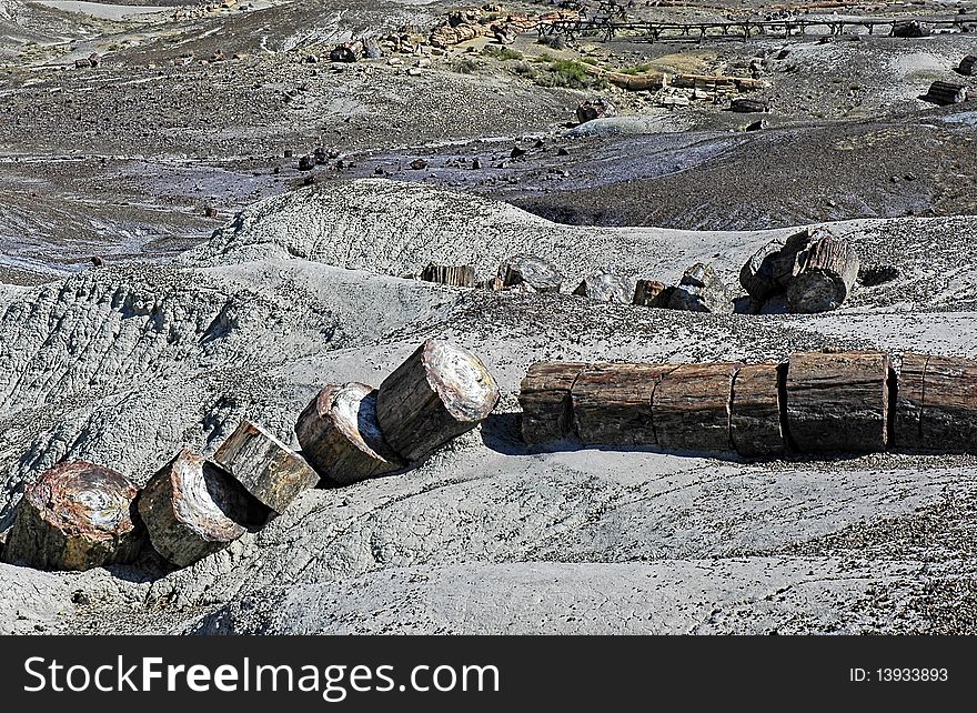 Landscape of Petrified Forest, Ariz, western USA