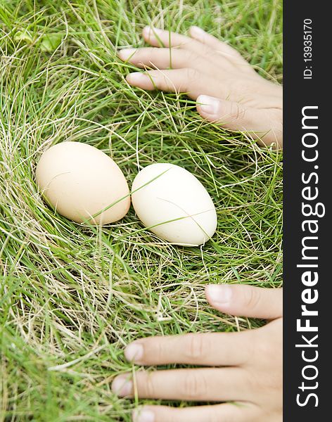 The egg on lawn, with hand. The egg on lawn, with hand
