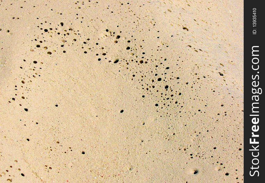 Close-up on beach white sand texture with multiple tiny holes. Close-up on beach white sand texture with multiple tiny holes