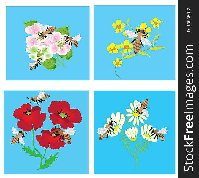 Set of cards with bees and  beautiful flowers. Set of cards with bees and  beautiful flowers