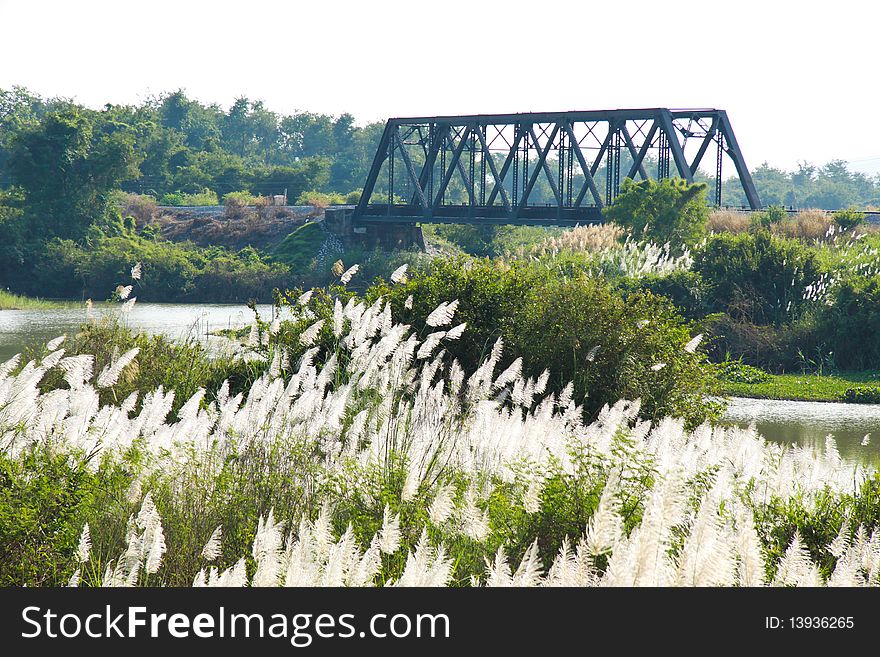 Vista flowers grass and Bridge railway