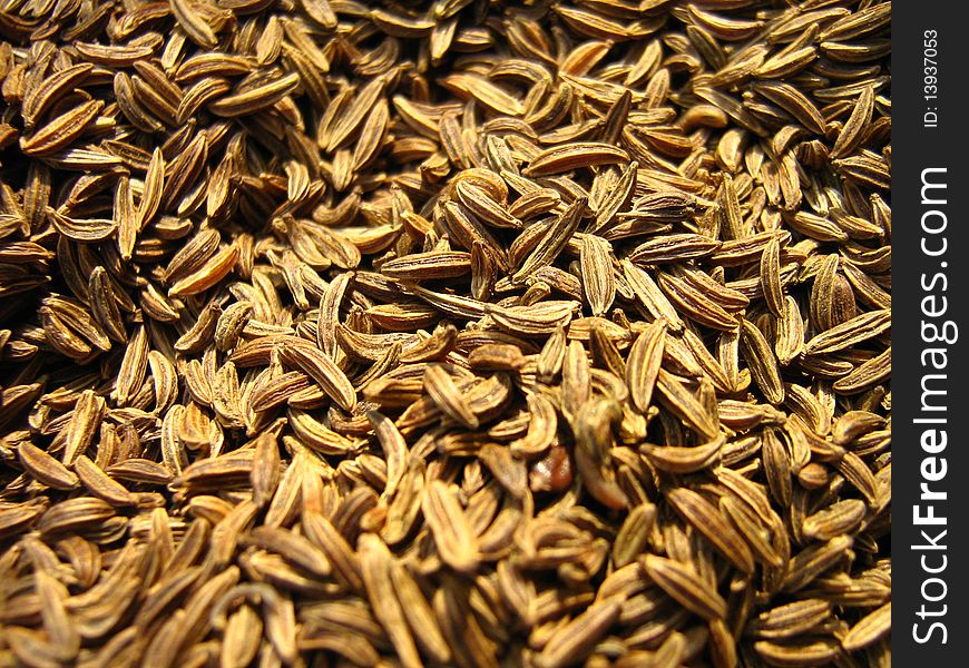 Closeup of Indian Spice - Cumin Seeds used for cooking traditional cuisine.