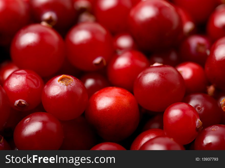 Macro of red cranberries background