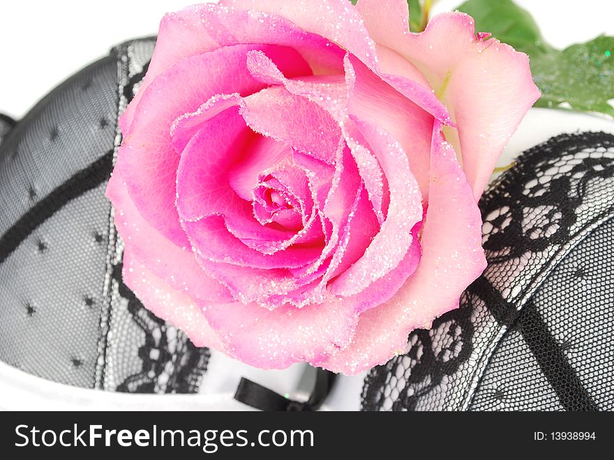 White and black lingerie bra with pink rose