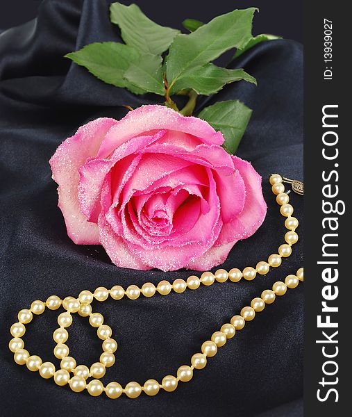 Shining pink Rose with pearls on the sink dark blue background.
